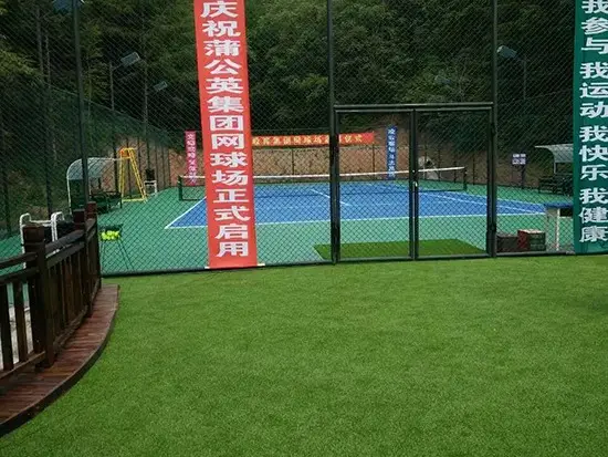 清源蒲公英基地网球场
